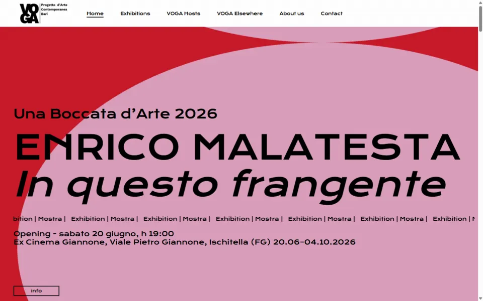 Voga Art Project website built by REGICODE